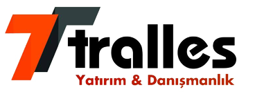 TRALLES GAYRİMENKUL & DANIŞMANLIK  TELEFON: 0.532.4247256      EFELER - AYDIN